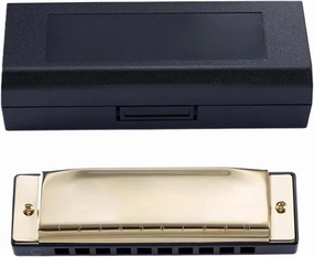 10 Hole C Tone Harmonica Beginner Adult Professional Performance Instrument(Gold)