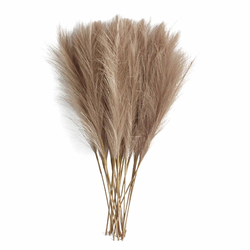 10PCS Fluffy Pampas Grass