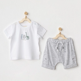 2 Piece Dinosaur Set