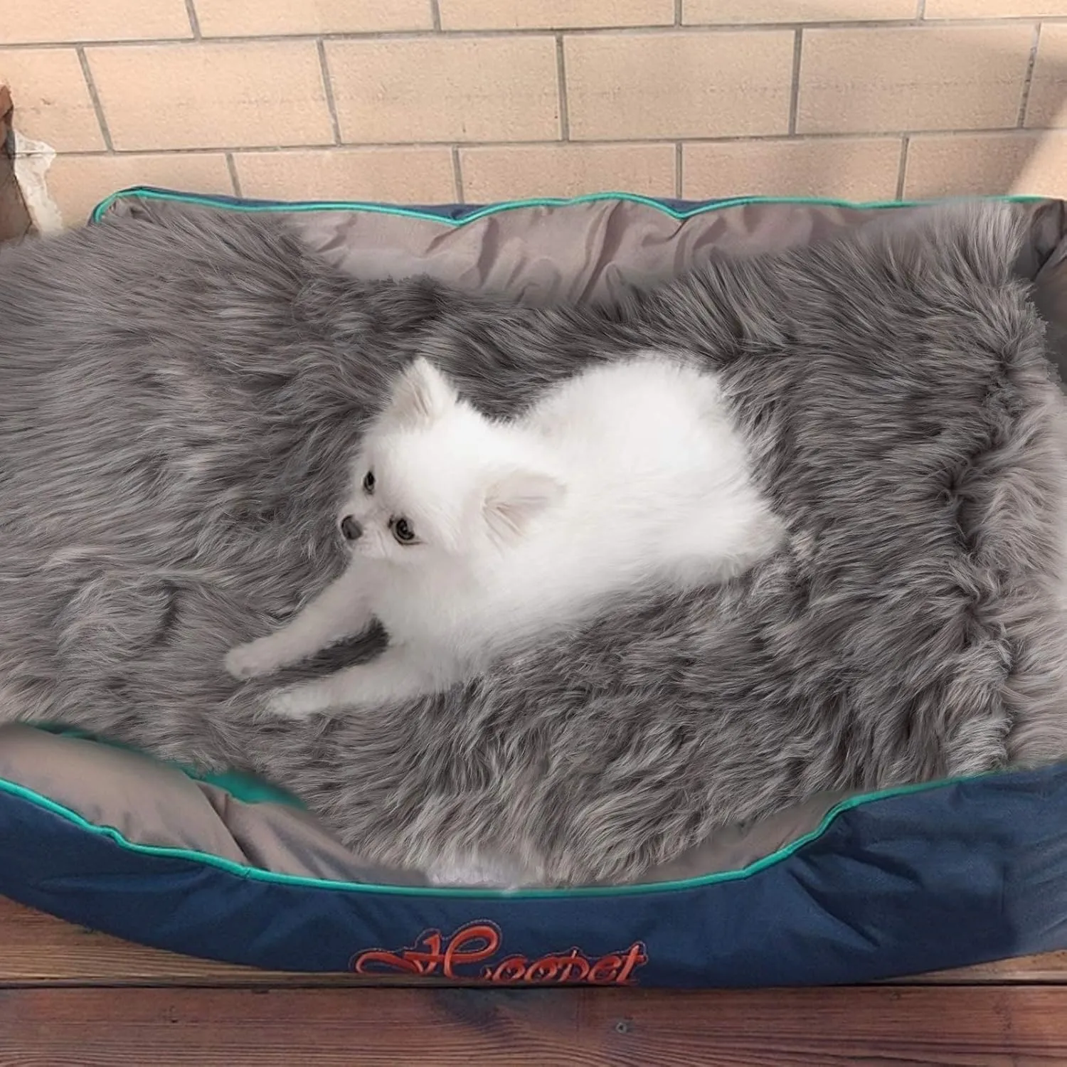 Asrug Faux Fur Dog Rug Plush and Fluffy Dog Mat Ultra Cozy Pet Throw Rug for Dogs Cats, Luxury Soft Faux Sheepskin Rug, Small Blanket for Dog,Shag Fur Area Rugs for Bedroom, Grey, 24 by 36 inches