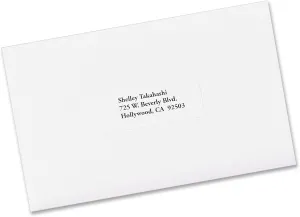 Avery Shipping Label (95915)