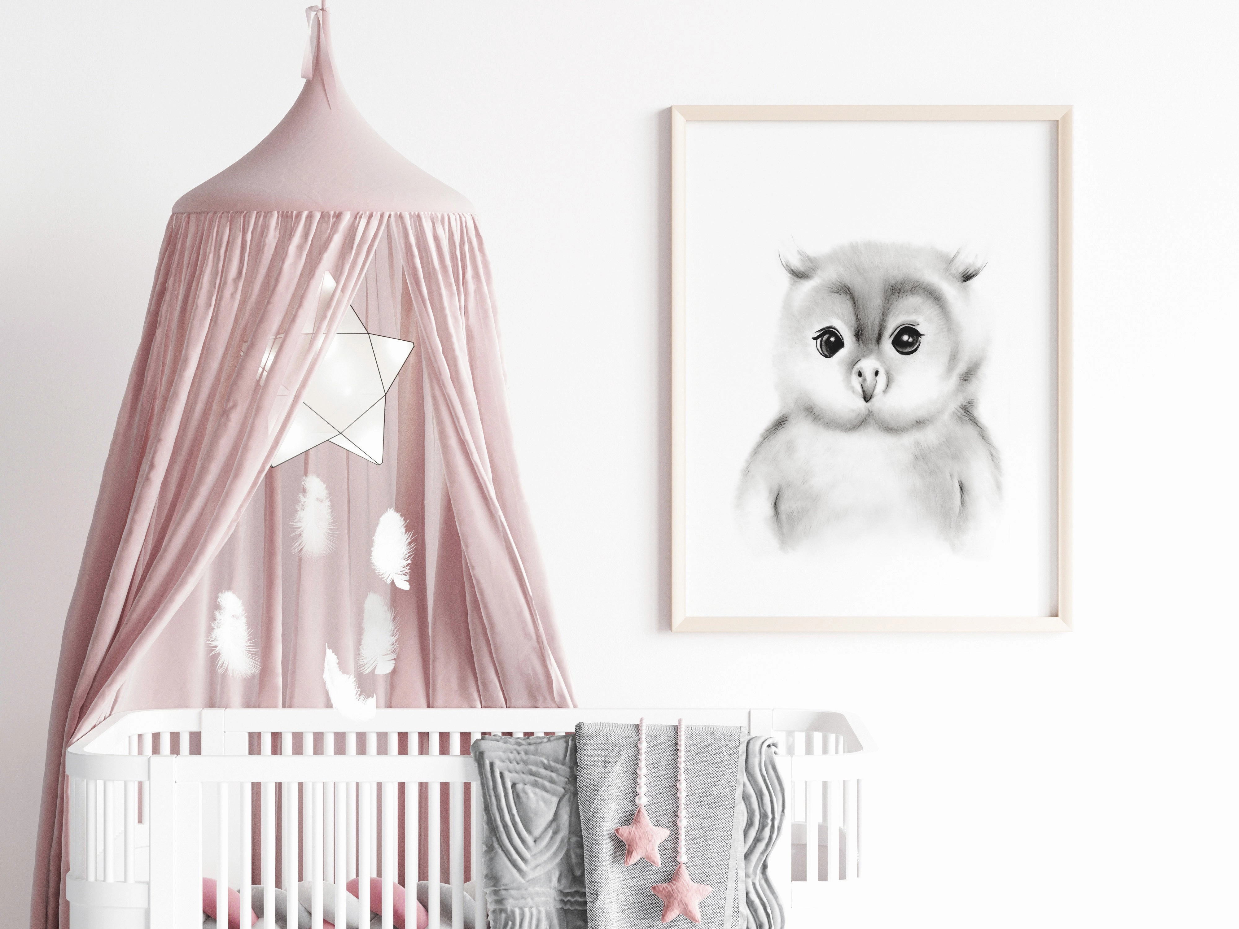 Baby Owl Sketch Fluffy Face Print