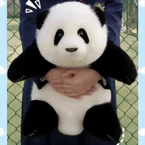 Cartoon Plush Electric Hotwater Bag