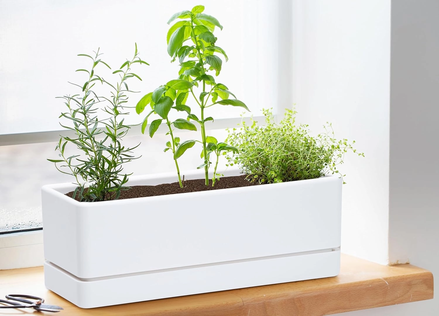 D'vine Dev 12 Inch Window Box Planter, Rectangle Plastic Herb Planter with Drainage Holes and Saucer, Indoor Succulent Cactus Vegetable Pot for Windowsill, Garden Balcony, White, Set of 2, 76-X-A-2