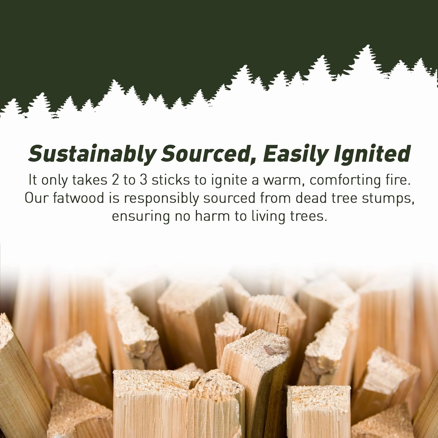 Double Tree Fatwood Fire Starter Sticks - Premium Organic Resin Rich, Non Toxic Fire Kindling for Wood Stoves, Fireplaces, Campfires, Bonfires - Clean & Natural Burning for Outdoor Cooking (10 Pounds)