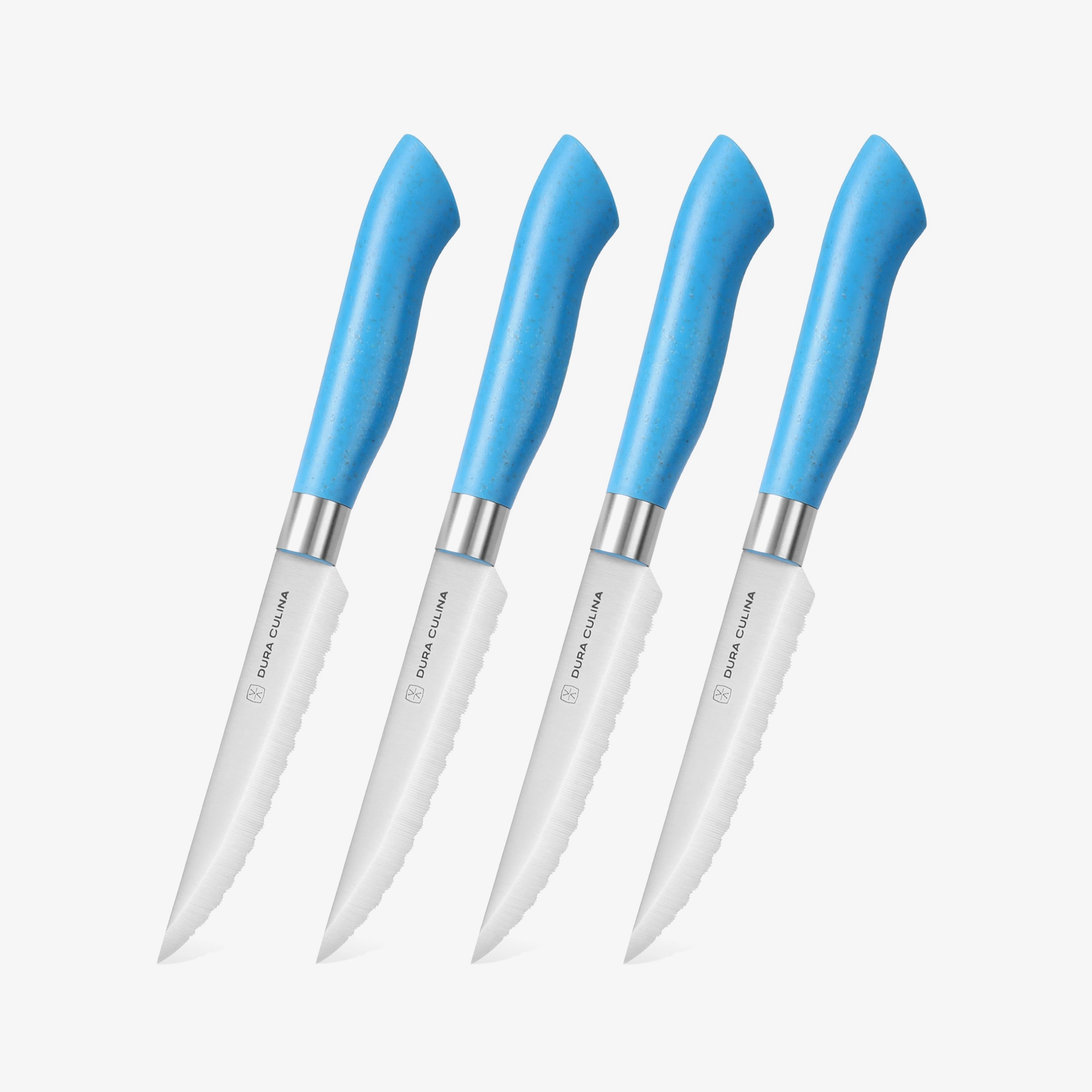 EcoCut 4 Piece Steak Knife Set, Blue by Dura Living