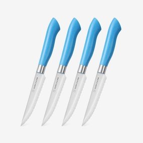 EcoCut 4 Piece Steak Knife Set, Blue by Dura Living
