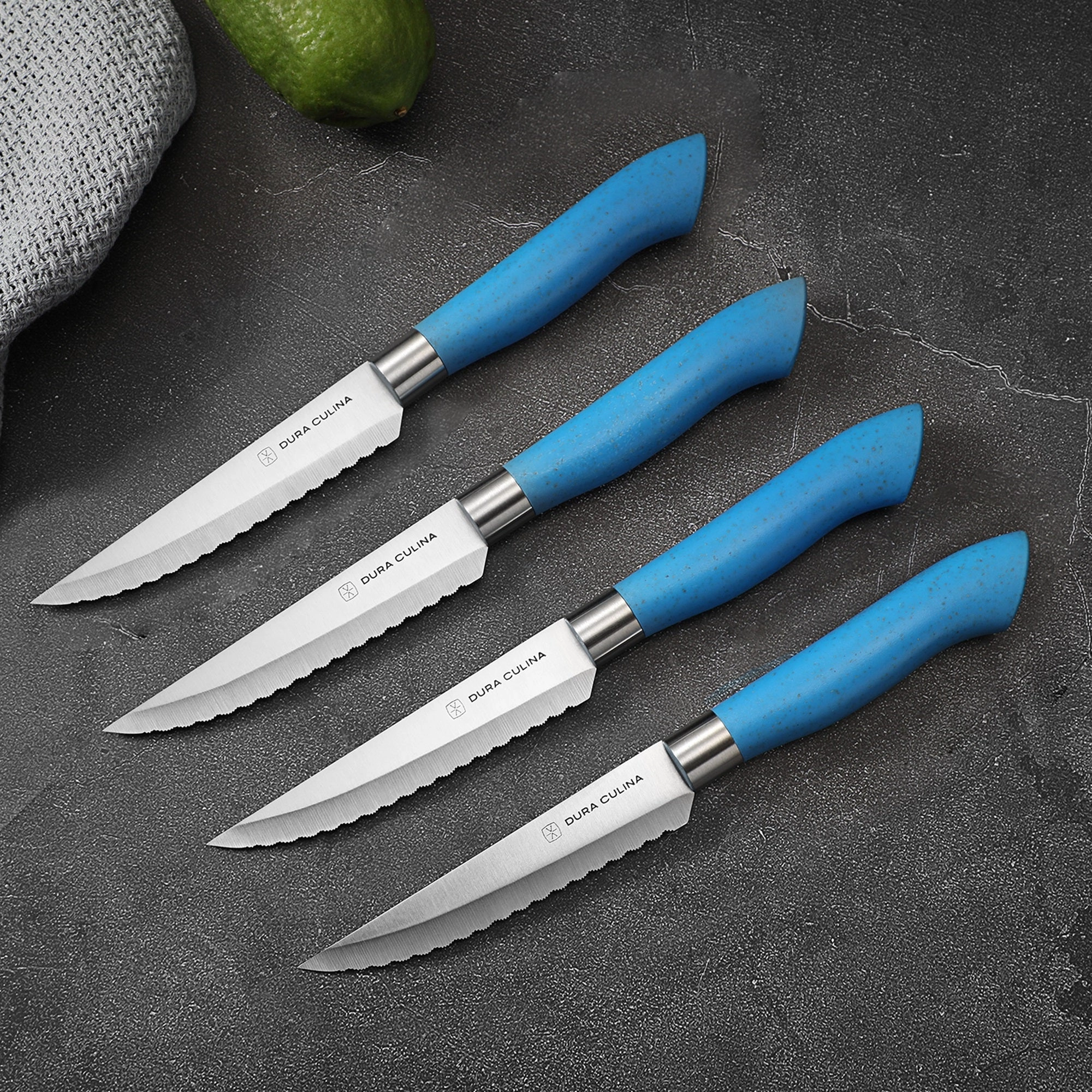 EcoCut 4 Piece Steak Knife Set, Blue by Dura Living