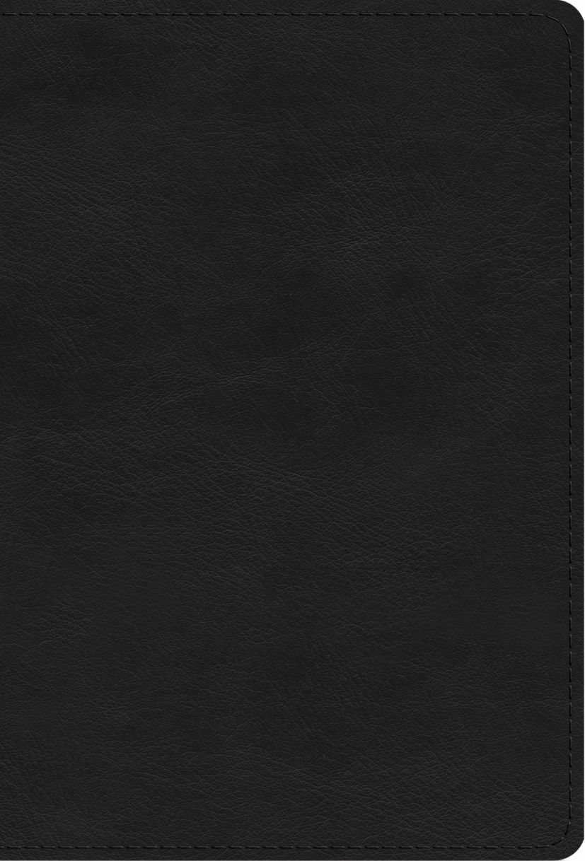 ESV Large Print Compact Bible (TruTone, Black)