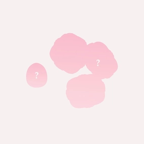 Flower Knows Blush Random Set,Value at $28-$44,Includes Powder,Cream,Liquid Blush (Blush*1 Mini Powder Puff*1)