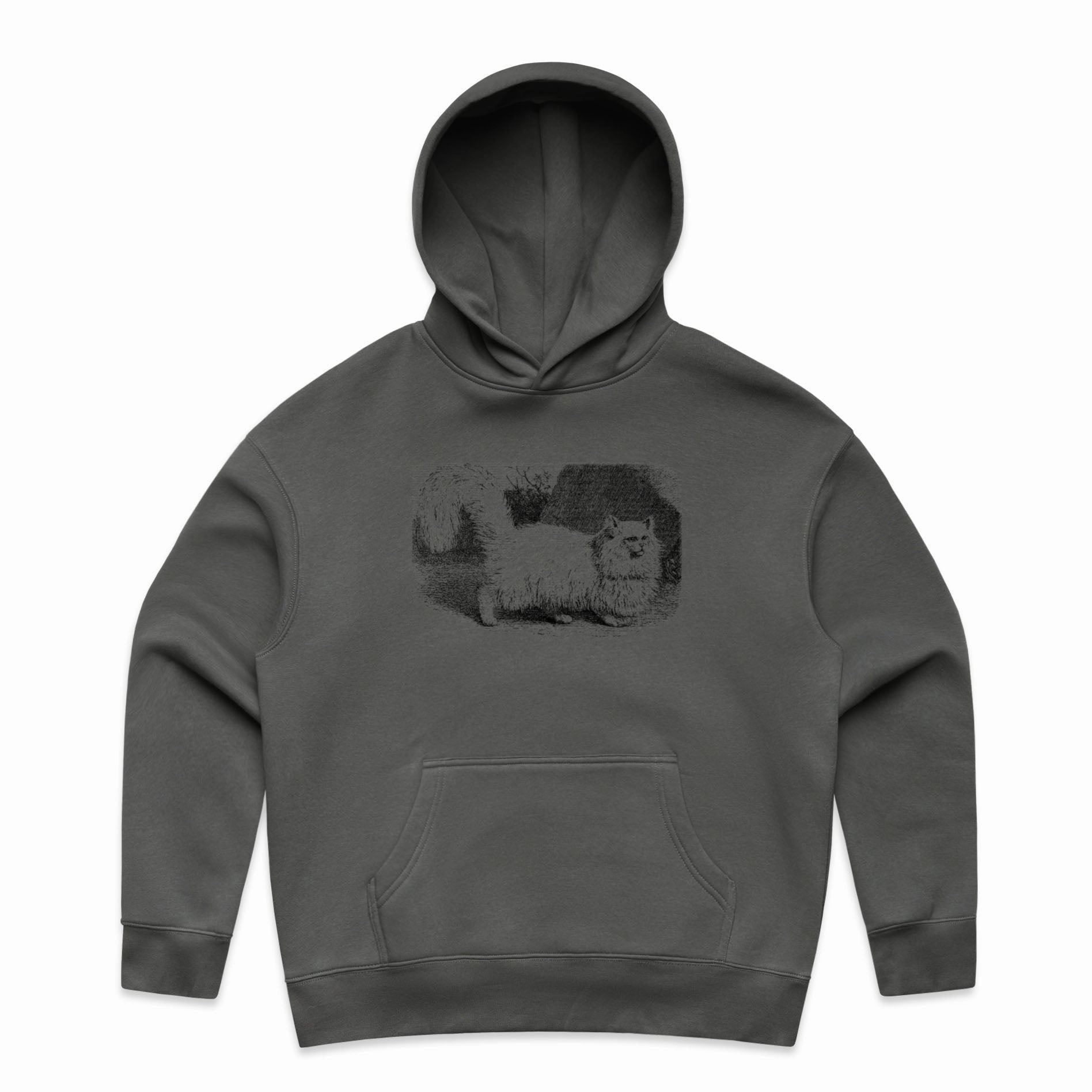 Fluffy Kitten – Women's Hooded Sweatshirt