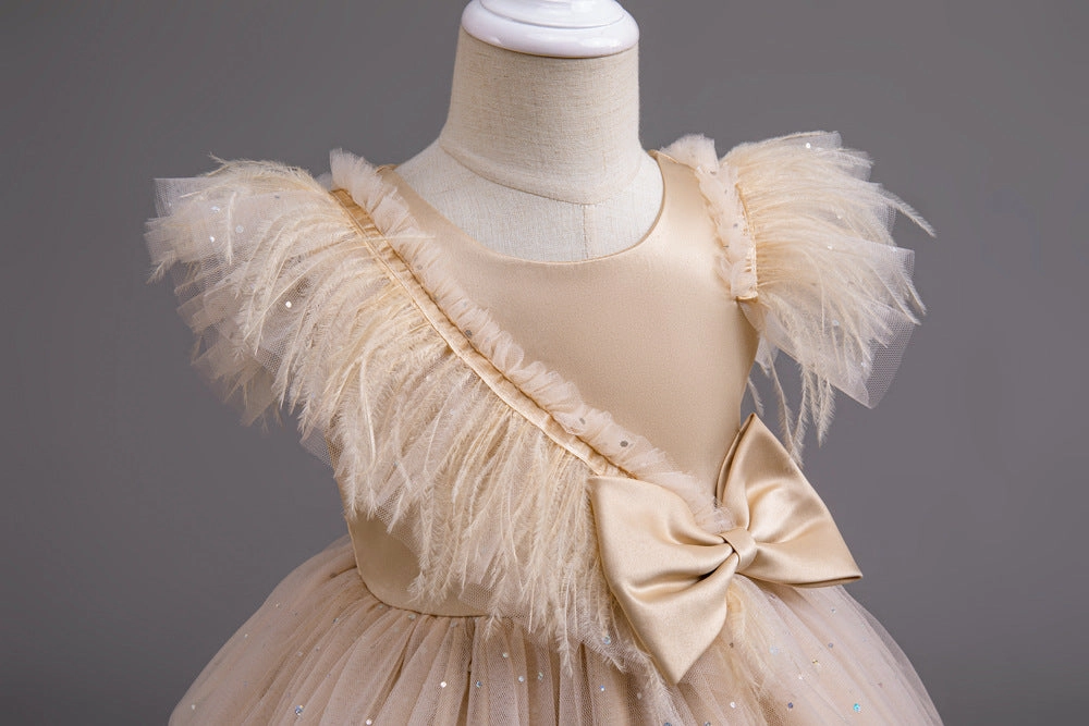 Fluffy princess dress