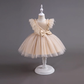 Fluffy princess dress