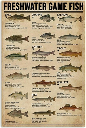 Freshwater Game Fish Some of The Popular Fish Great Jigsaw Puzzles for Adults 1000pcs Puzzles for Adults Toys Gift Family Decoration Puzzles