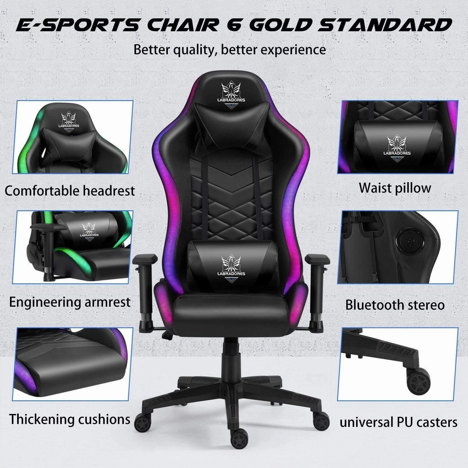 HopeRacer Labradores Series LED RGB Racing Gaming Chair with Bluetooth Music Speaker