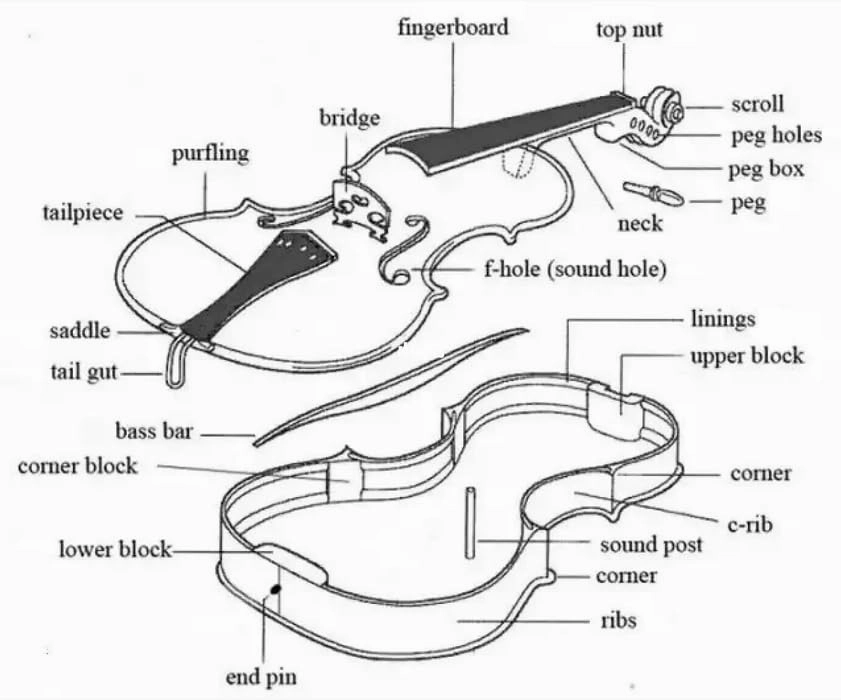 Jiayouy Violin Parts & Accessories 4/4 Violin DIY Kit for Students Beginners Music Lover Make Your Own Violin