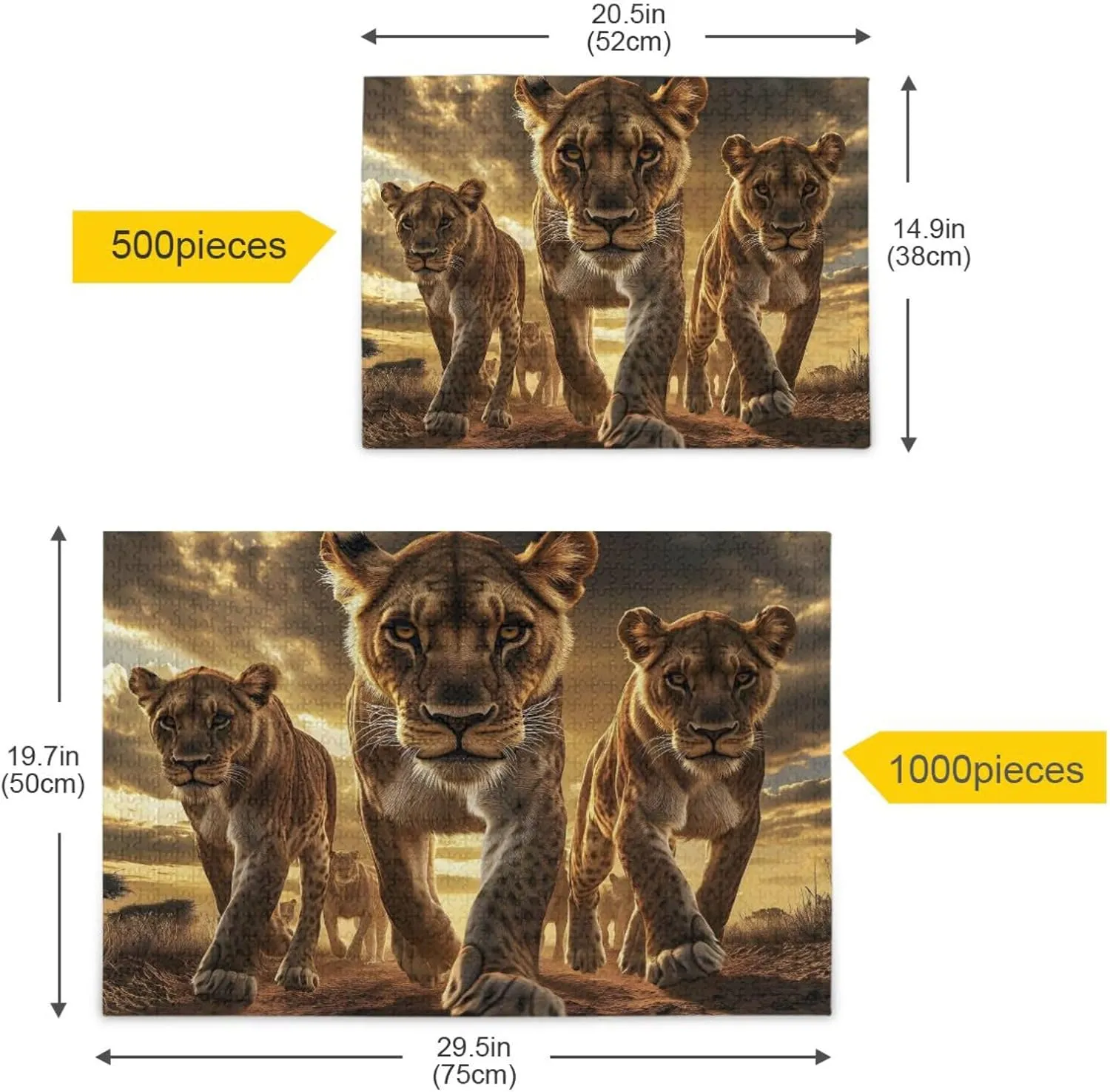 Jigsaw Puzzle for Adults 1000 Pieces, Lion Grassland Closeup Impossible Hard Difficult Challenging Puzzle for Adults Jigsaw Puzzle for Party Entertainment Family Games