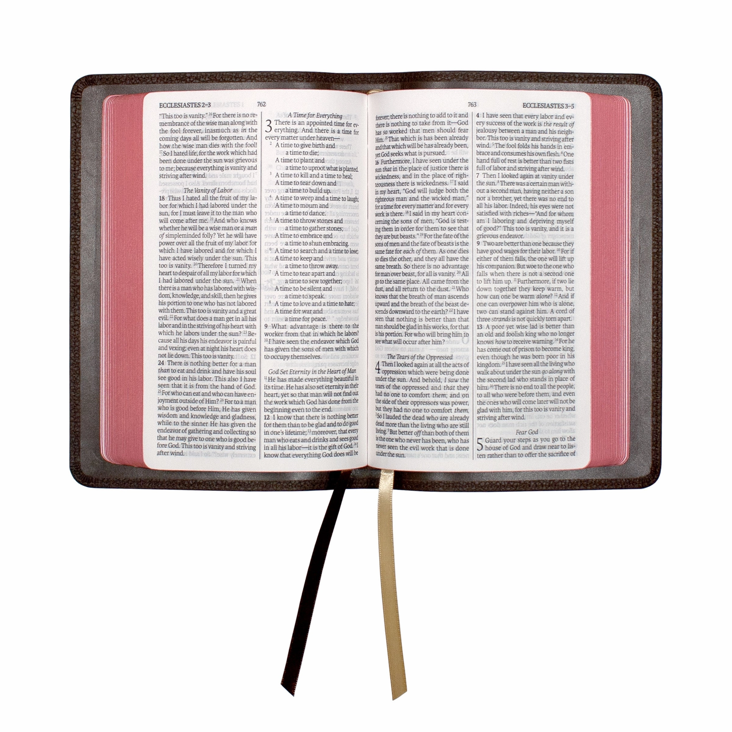 Legacy Standard Bible, Compact Edition - Edge-Lined Cowhide