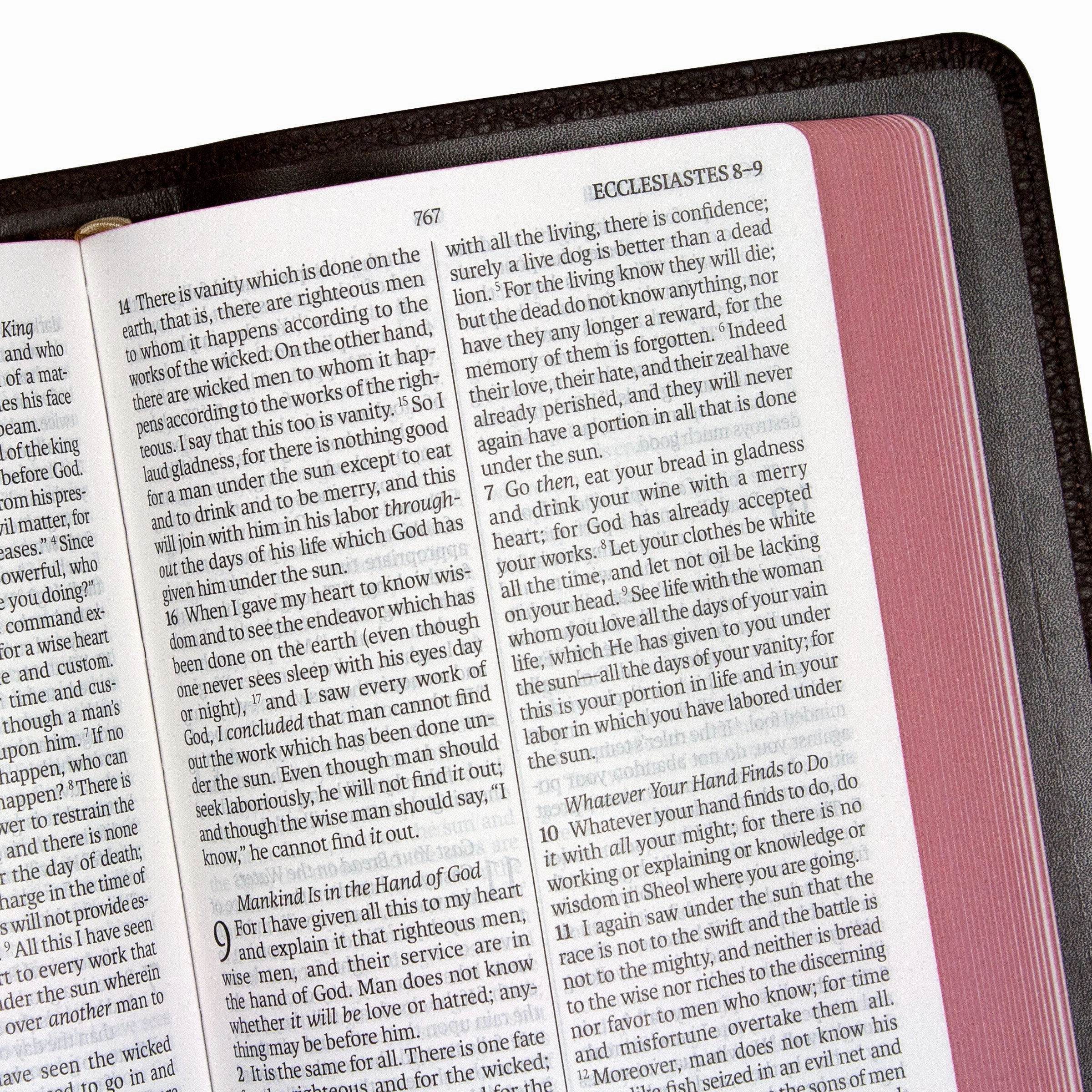 Legacy Standard Bible, Compact Edition - Edge-Lined Cowhide