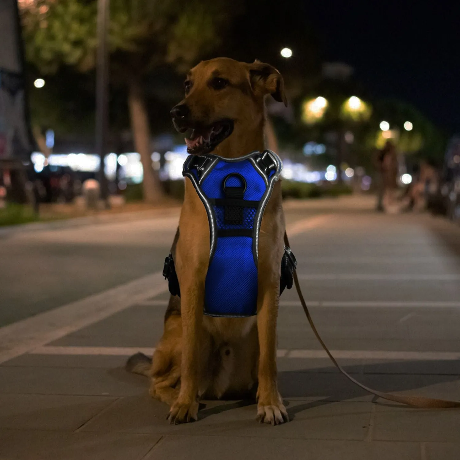 Light Up Dog Harness Rechargeable LED Dog Harness for Small/Medium/Large Dogs