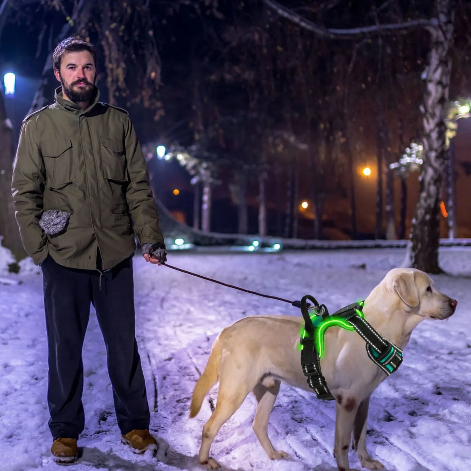 Light Up Dog Harness Rechargeable LED Dog Harness for Small/Medium/Large Dogs