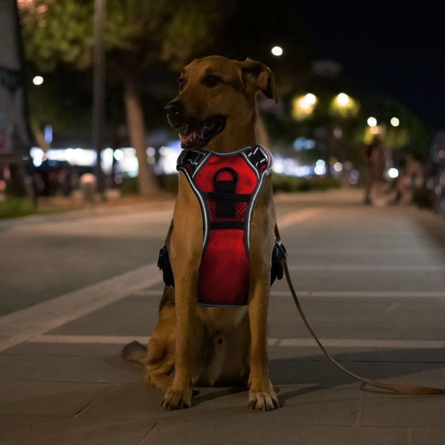 Light Up Dog Harness Rechargeable LED Dog Harness for Small/Medium/Large Dogs