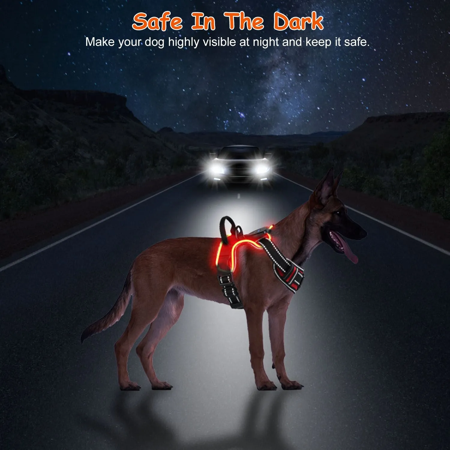Light Up Dog Harness Rechargeable LED Dog Harness for Small/Medium/Large Dogs