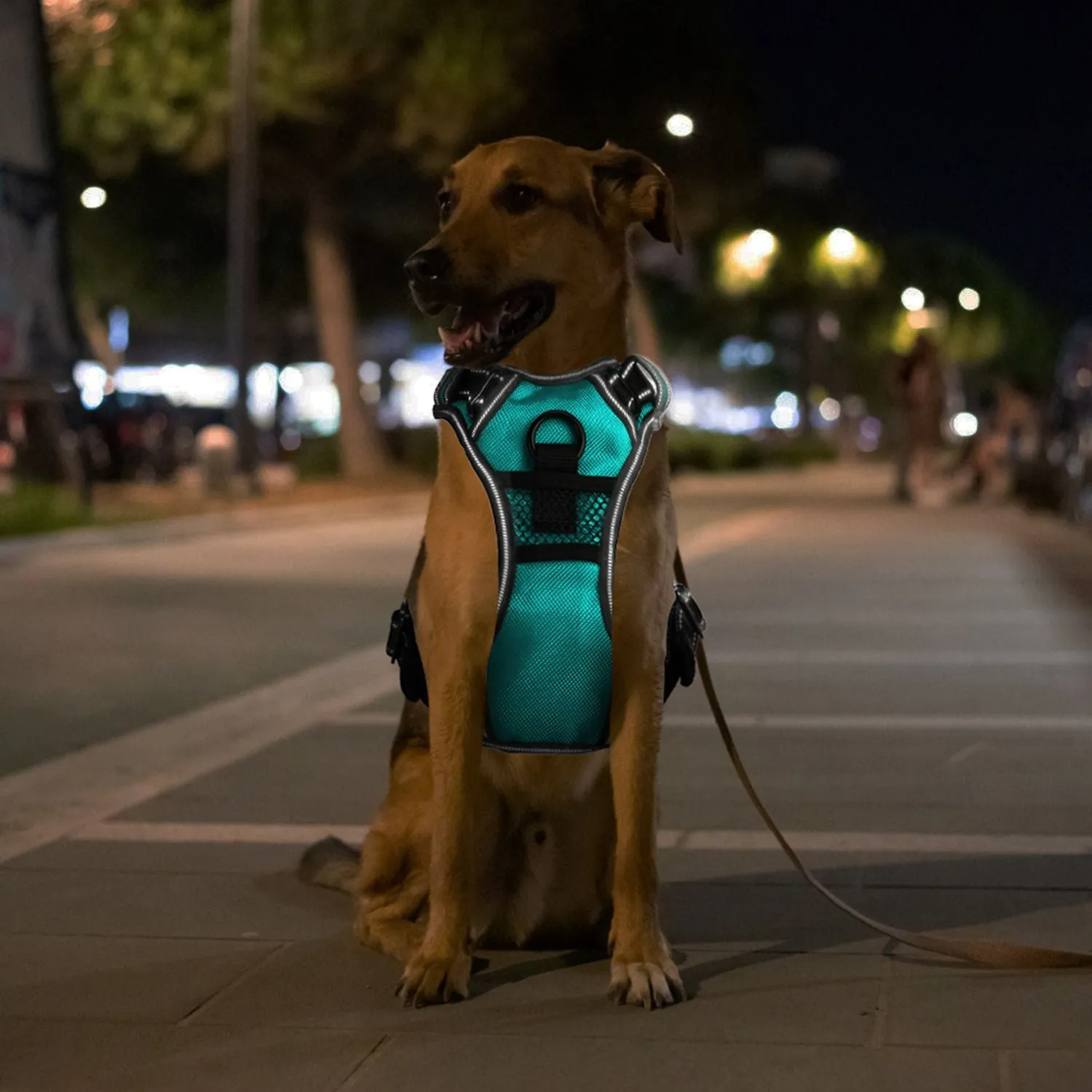 Light Up Dog Harness Rechargeable LED Dog Harness for Small/Medium/Large Dogs