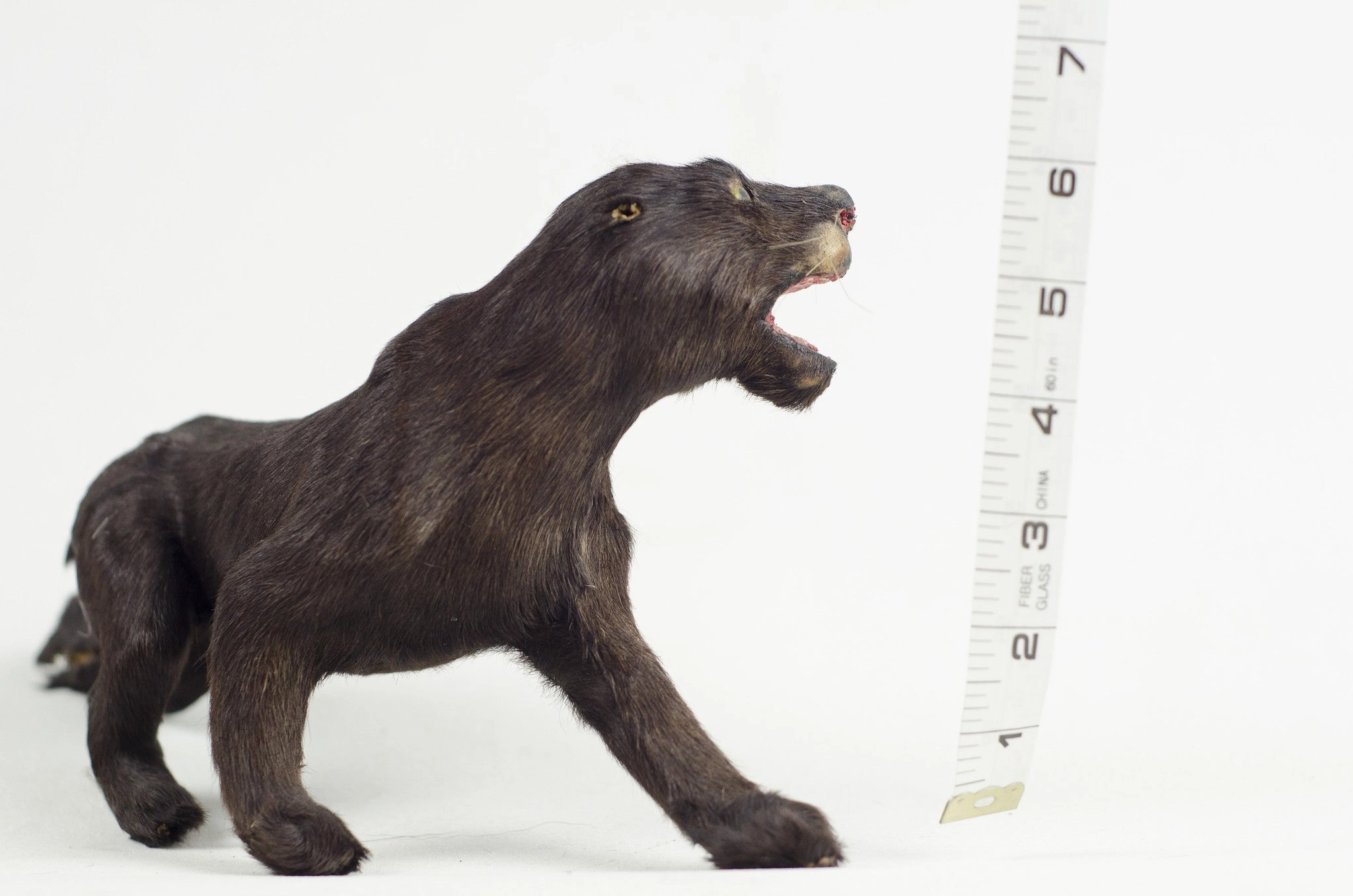 Little Critter Panther