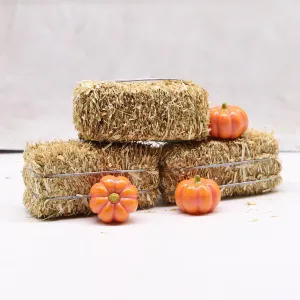 Mini Hay Bale with Pumpkins Set, Miniature Straw Bale, Dollhouse Miniature Hay, for Fall Miniatures, Mini Halloween, Dollhouse, Fairy Garden, Diorama,Tiered Tray