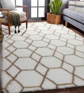 ONASAR 5x7 Area Rugs for Living Room Bedroom, Washable Fluffy White and Beige Faux Fur Bedside Rug, Geometric Boho Soft Plush Shaggy Floor Carpet Mat for Nursery Kids Girls Teen Dorm Home Decor