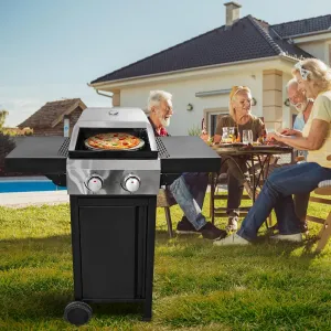 Outdoor 2 Burner Gas Grill and Pizza Oven Combo, Portable Design with Automatic Ignition, Black and Silver