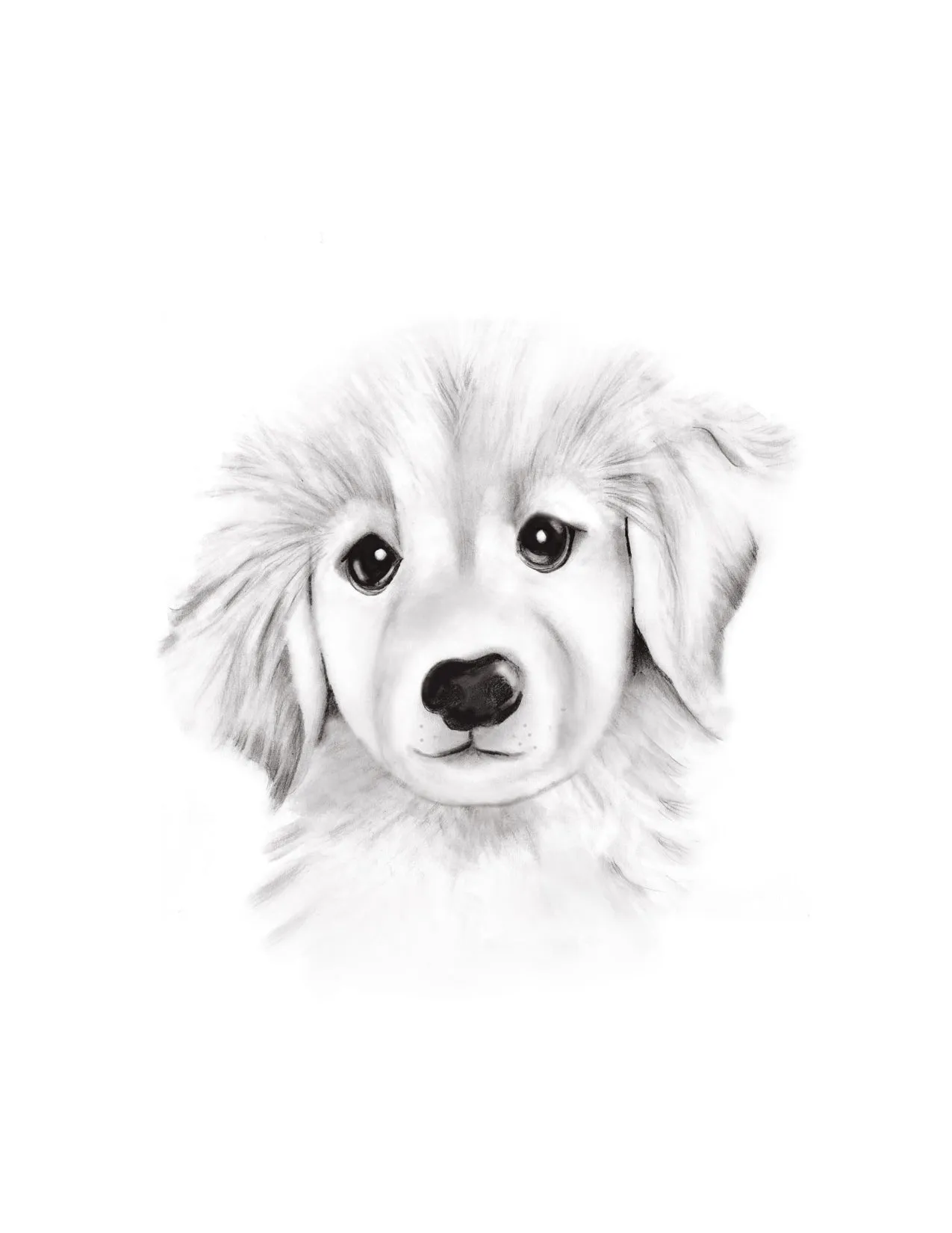 Puppy Sketch Fluffy Face Print
