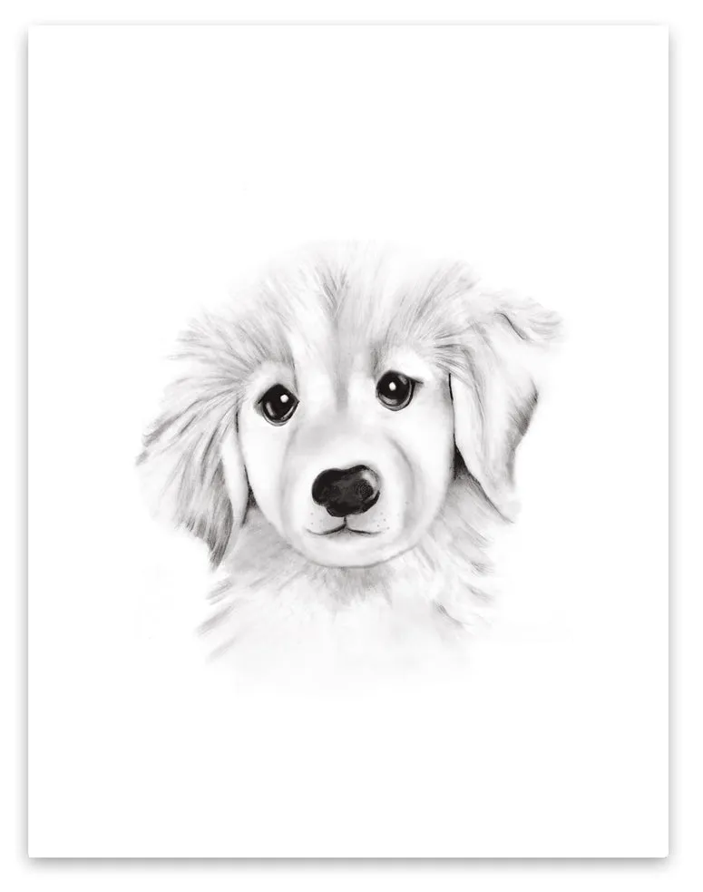 Puppy Sketch Fluffy Face Print