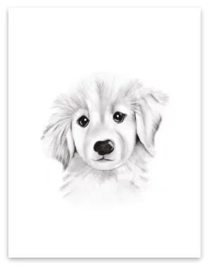 Puppy Sketch Fluffy Face Print