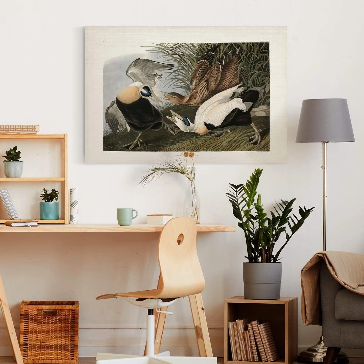 Renditions Gallery Eider Duck by John James Audubon, Classic Bird Wall Art, Bright and Colorful, Premium Gallery Wrapped Canvas Decor, Ready to Hang, 18 In H x 27 In W, Made in America Print