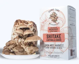 Shiitake Mushroom Kit