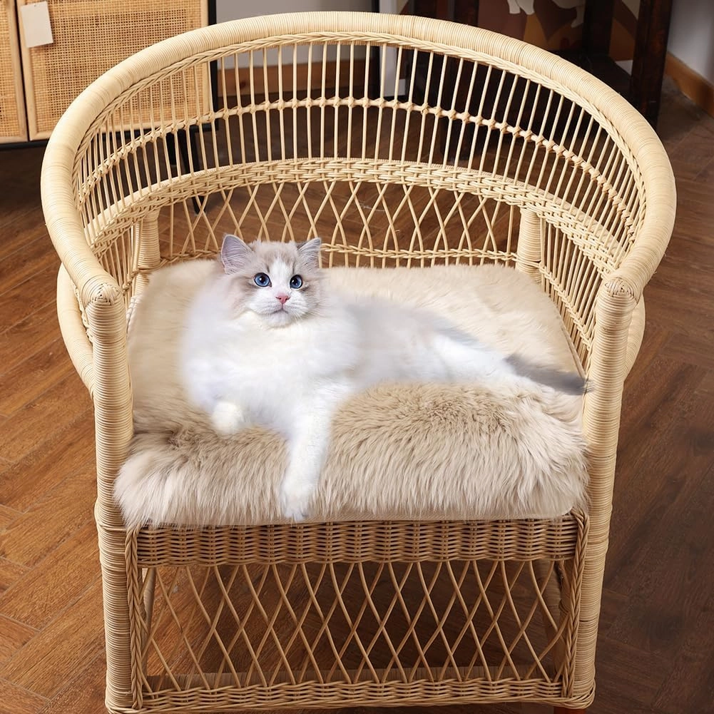Square Fur Sheepskin Chair Cover Seat Cushion Pad Super Soft Area Rugs for Living Bedroom Sofa 18" x 18" (Creamy Gray, 18" x 18" (Pack of 1))