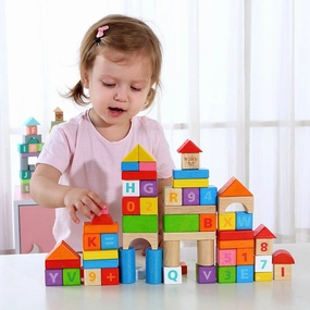 Tooky Toy 70pcs Blocks - Rubber Wood