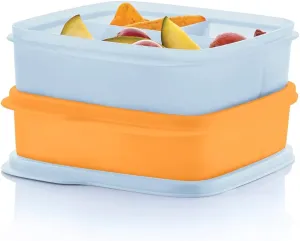Tupperware Lunch-It Portion & Go Compact 2-Lunch Box Set, Dishwasher Safe and BPA Free (2.3 Cups/550 ml)