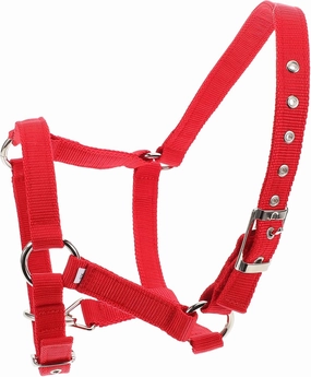 VICASKY Equestrian Training Horse Equipment Miniature Horse Halter Horse Harnesses Halter Horse Halter and Rope